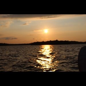 Meet your Posher, Elisa